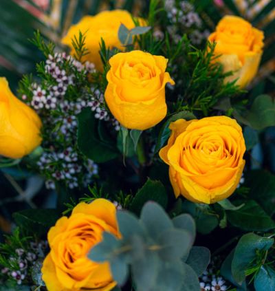 rosas-amarillas